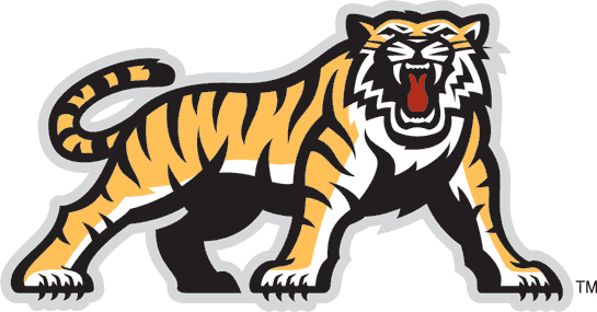 hamilton tiger-cats 2005-2009 secondary logo iron on transfers for T-shirts